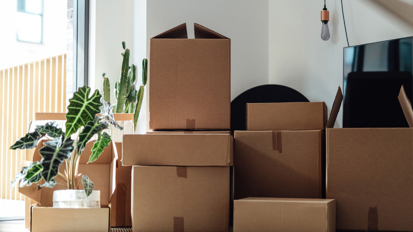 Moving Into Ocala’s Newest Communities? Why Storage Should Be Part of Your Plan